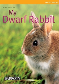 Paperback My Dwarf Rabbit Book