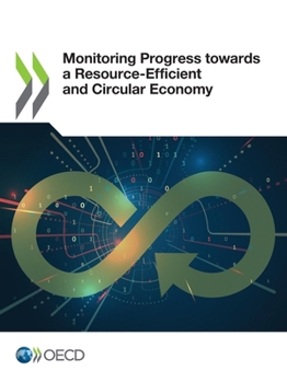 Paperback Monitoring Progress towards a Resource-Efficient and Circular Economy Book