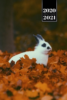 Rabbit Bunny Hare Rodent Week Planner Weekly Organizer Calendar 2020 / 2021 - Autumn Time: Cute Wildlife Animal Pet Bullet Journal Notebook Diary in 6” x 9” Inch Pocket Size