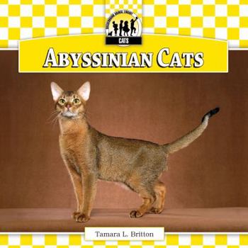 Abyssinian Cats - Book  of the Cats