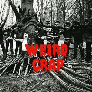 Paperback Weird Crap Book