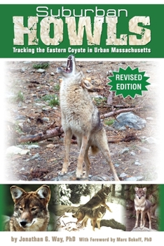 Paperback Suburban Howls: Tracking the Eastern Coyote in Urban Massachusetts Book