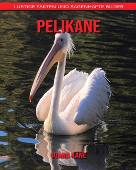 Pelikane: Lustige Fakten und sagenhafte Bilder