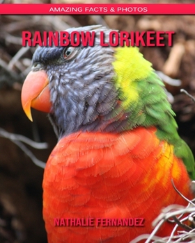 Rainbow lorikeet: Amazing Facts & Photos