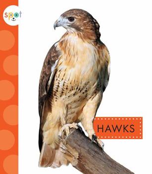 Paperback Hawks Book
