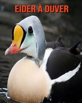 Eider à Duver: Photos Etonnantes & Recueil d’Informations Amusantes Concernant les Eider à Duver (French Edition)