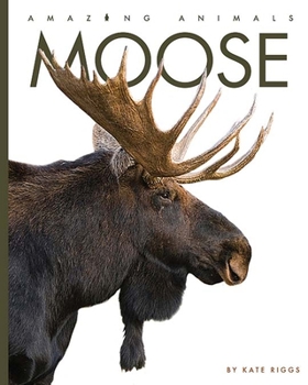 Moose - Book  of the Amazing Animals
