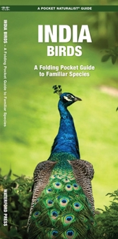 Paperback India Birds: A Folding Pocket Guide to Familiar Species Book