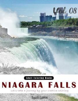 Paperback Niagara Falls: Landscapes Grey Scale Photo Adult Coloring Book, Mind Relaxation Stress Relief Coloring Book Vol8.: Series of coloring Book