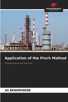 Paperback Application of the Pinch Method Book