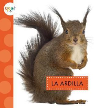 Hardcover La Ardilla (Squirrels) [Spanish] Book