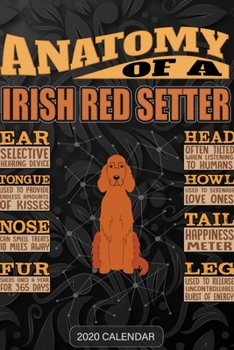 Anatomy Of A Irish Red Setter: Irish Red Setter 2020 Calendar - Customized Gift For Irish Red Setter Dog Owner