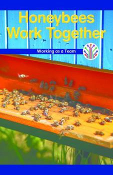 Paperback Honeybees Work Together: Working as a Team Book