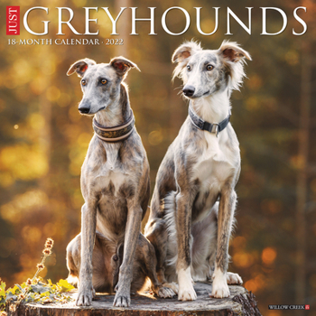 Calendar Just Greyhounds 2022 Wall Calendar (Dog Breed) Book