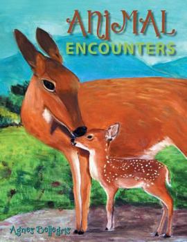 Paperback Animal Encounters Book