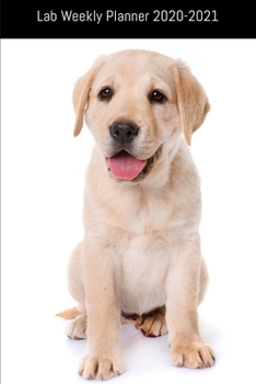 Lab Weekly Planner 2020-2021: Labrador Retriever Lover Notebook Gift , Two Year Weekly Planner With 2 Year Calendar 2020 2021,Size 6 X 9 Inch