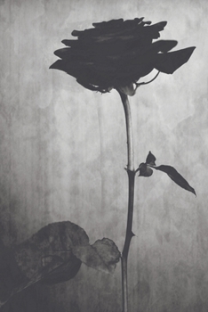 The Curse of the Black Rose