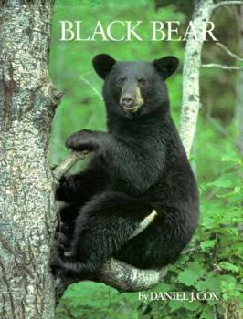 Hardcover Black Bear Book