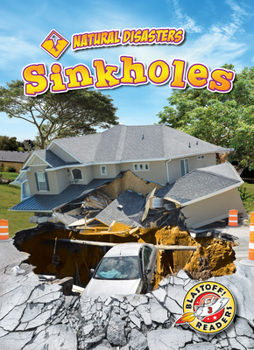 Library Binding Sinkholes Book