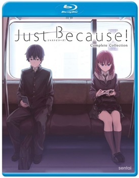 Blu-ray Just Because: The Complete Collection Book