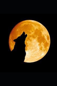 Paperback Aiathan Book