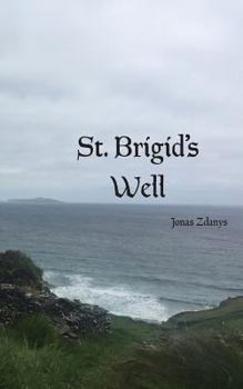 Paperback St. Brigid's Well Book
