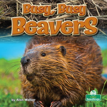 Paperback Busy, Busy Beavers Book