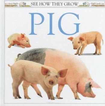 Hardcover Pig Book