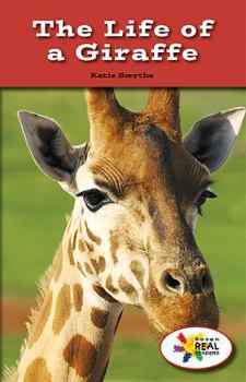 Paperback The Life of a Giraffe Book