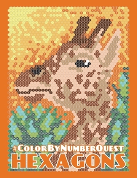 Paperback Color By Number Quest: HEXAGONS (Color By Number Quest coloring books) Book