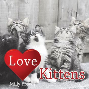 Hardcover Love Kittens Book