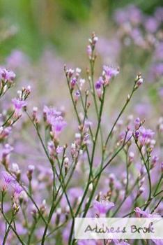 Address Book.: Glossy And Soft Cover, Large Print, Font, 6" x 9" For Contacts, Addresses, Phone Numbers, Emails, Birthday And More.