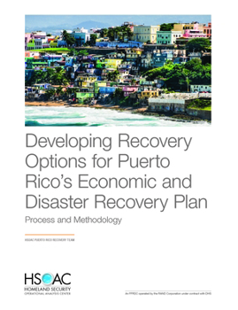Paperback Developing Recovery Options for Puerto Rico's Economic and Disaster Recovery Plan: Process and Methodology Book