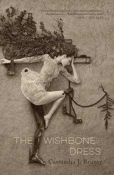 Paperback The Wishbone Dress Book