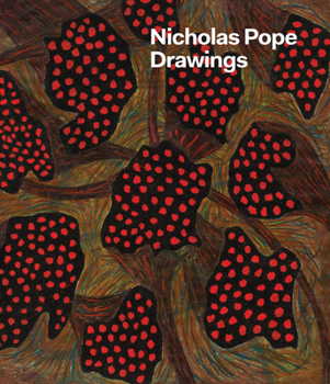 Hardcover Nicholas Pope: Drawings Book