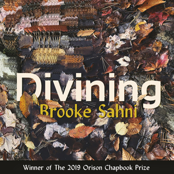 Paperback Divining Book