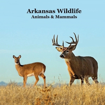 Arkansas Animals and Mammals Kids Wildlife Book: Excellent Wildlife Book about Animals and Mammals in Arkansas