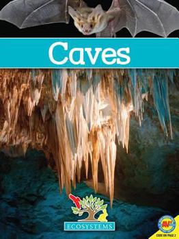 Hardcover Caves Book