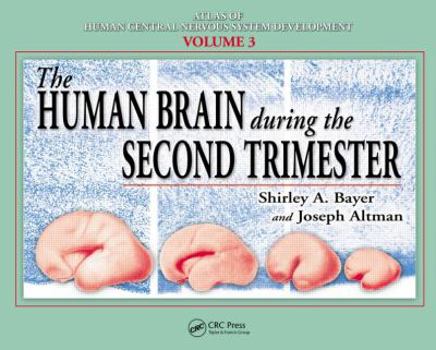 Hardcover The Human Brain During the Second Trimester Book