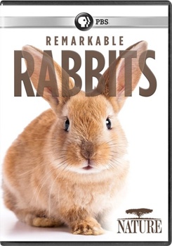 DVD Nature: Remarkable Rabbits Book