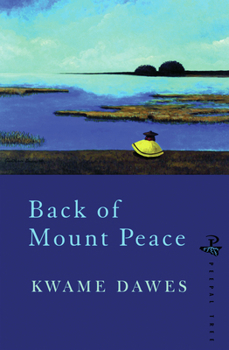Paperback Back of Mount Peace Book