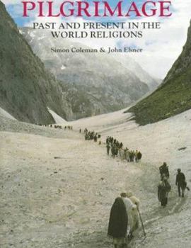 Paperback Pilgrimage: Past and Present in the World Religions Book