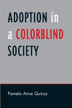 Paperback Adoption in a Color-Blind Society Book