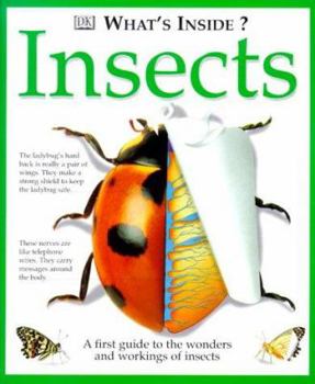 What's Inside? Insects - Book  of the What's Inside?