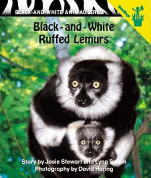 Black-and-White Ruffed Lemurs