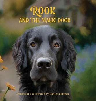 Hardcover Rook and the Magic Door: Written and Illustrated by Danica Barreau Book