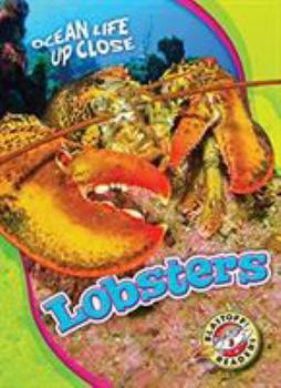 Library Binding Lobsters Book