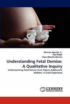 Paperback Understanding Fetal Demise: A Qualitative Inquiry Book