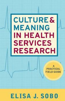 Paperback Culture and Meaning in Health Services Research: An Applied Approach Book
