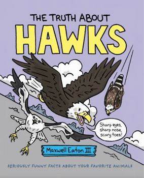 Hardcover The Truth about Hawks Book